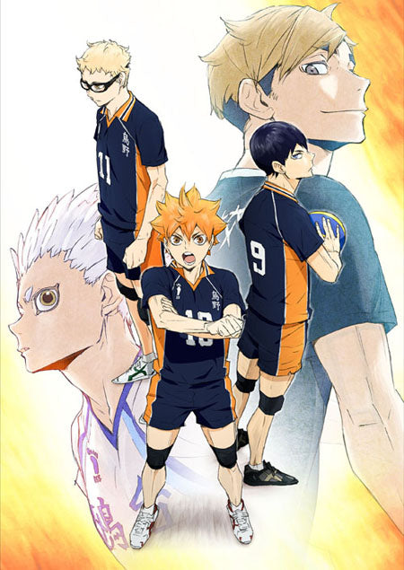 Haikyuu! Wallscroll Super Anime Store