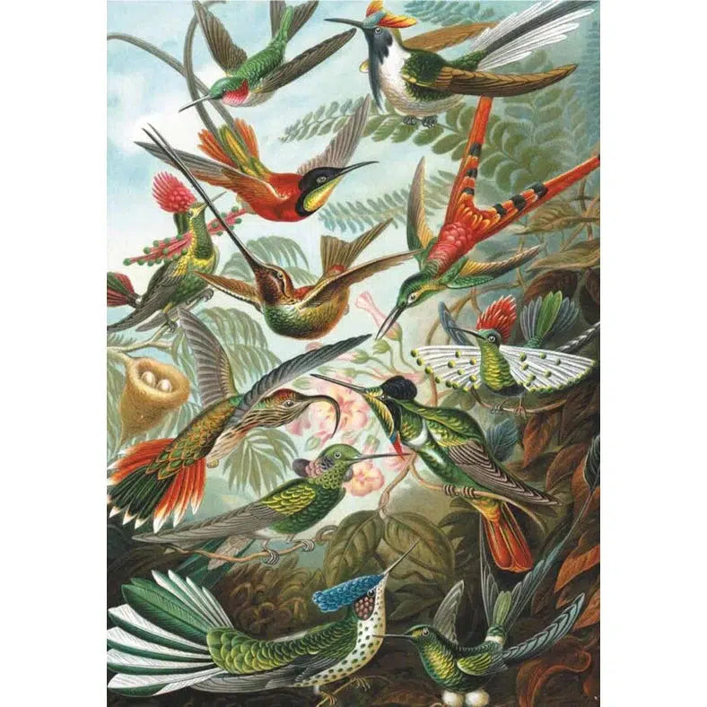 Hummingbirds 1000 Piece Jigsaw Puzzle Piatnik