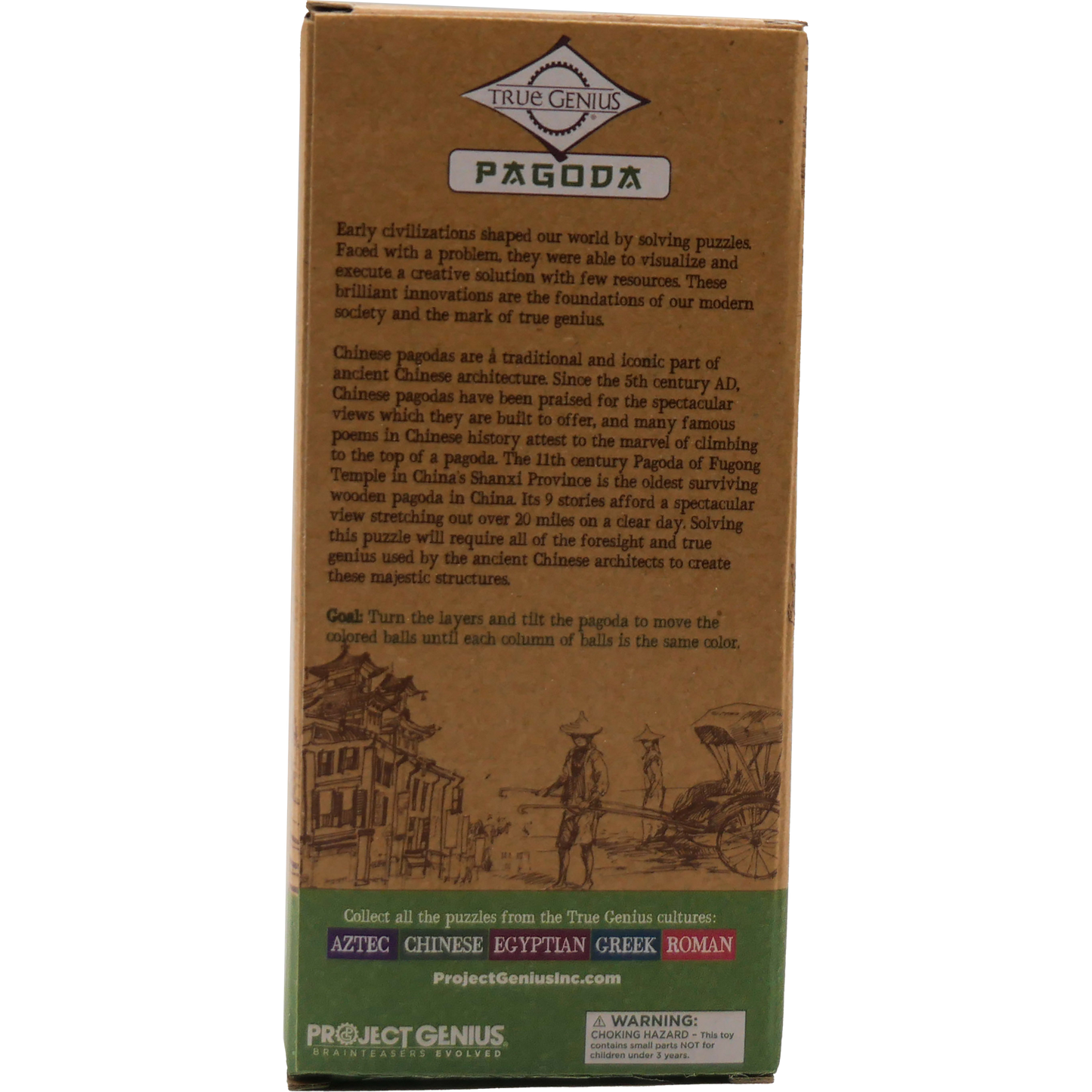 Pagoda Brainteaser Puzzle True Genius