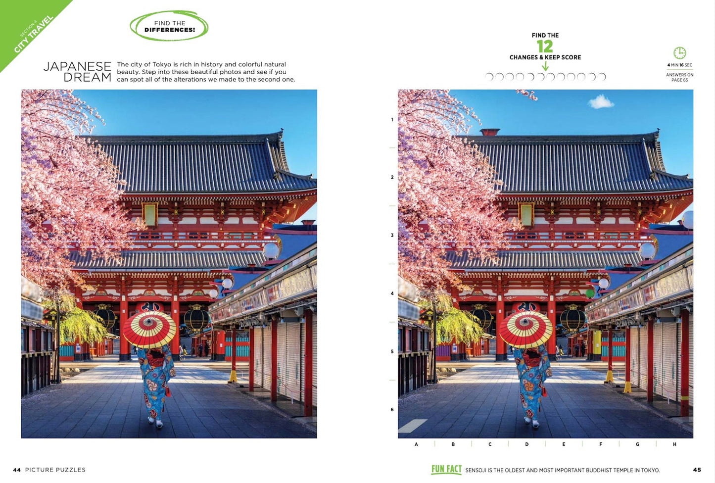Brain Fun - Picture Puzzle: Spot the Difference! Can You Find All 289 Differences? Five Categories Cute Critters, Sweet Treats, Gorgeous Gardens, Amazing Places, Perfect Pastimes Magazine Shop US