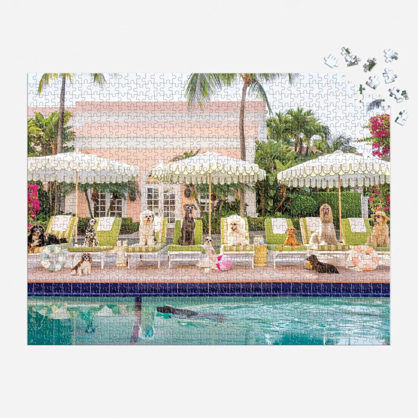 Pool Day Palm Beach 1000 Piece Jigsaw Puzzle Galison