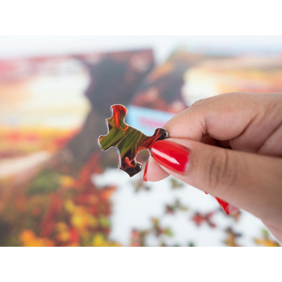 Stone Path 1000 Piece Jigsaw Puzzle Springbok