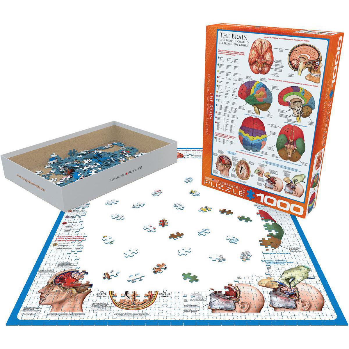 The Brain 1000 Piece Jigsaw Puzzle Eurographics