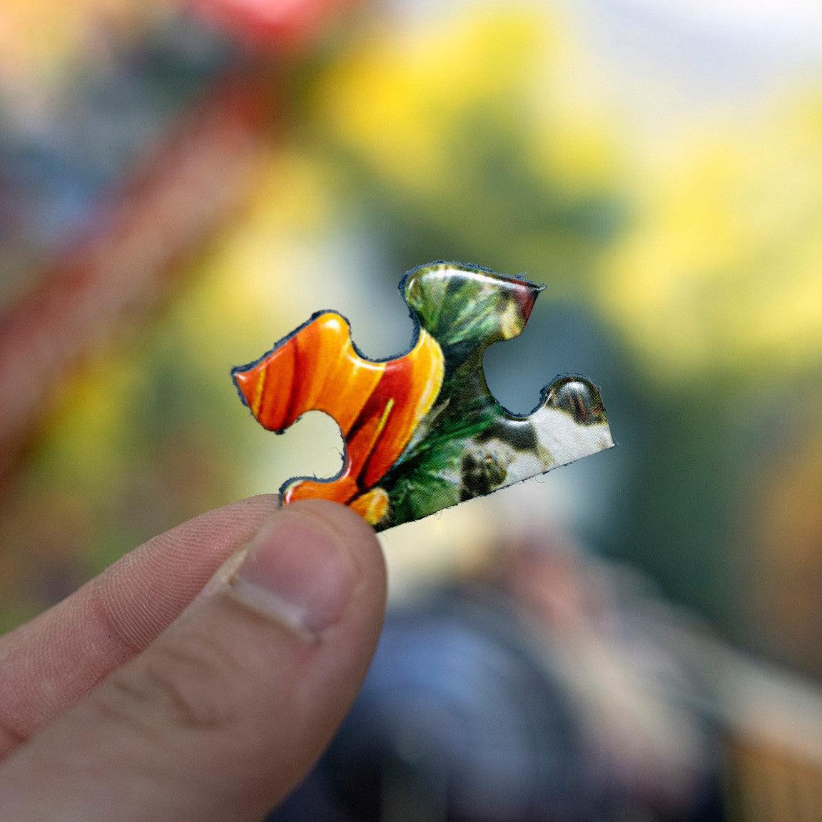 Tunnel Pass 1000 Piece Jigsaw Puzzle Springbok