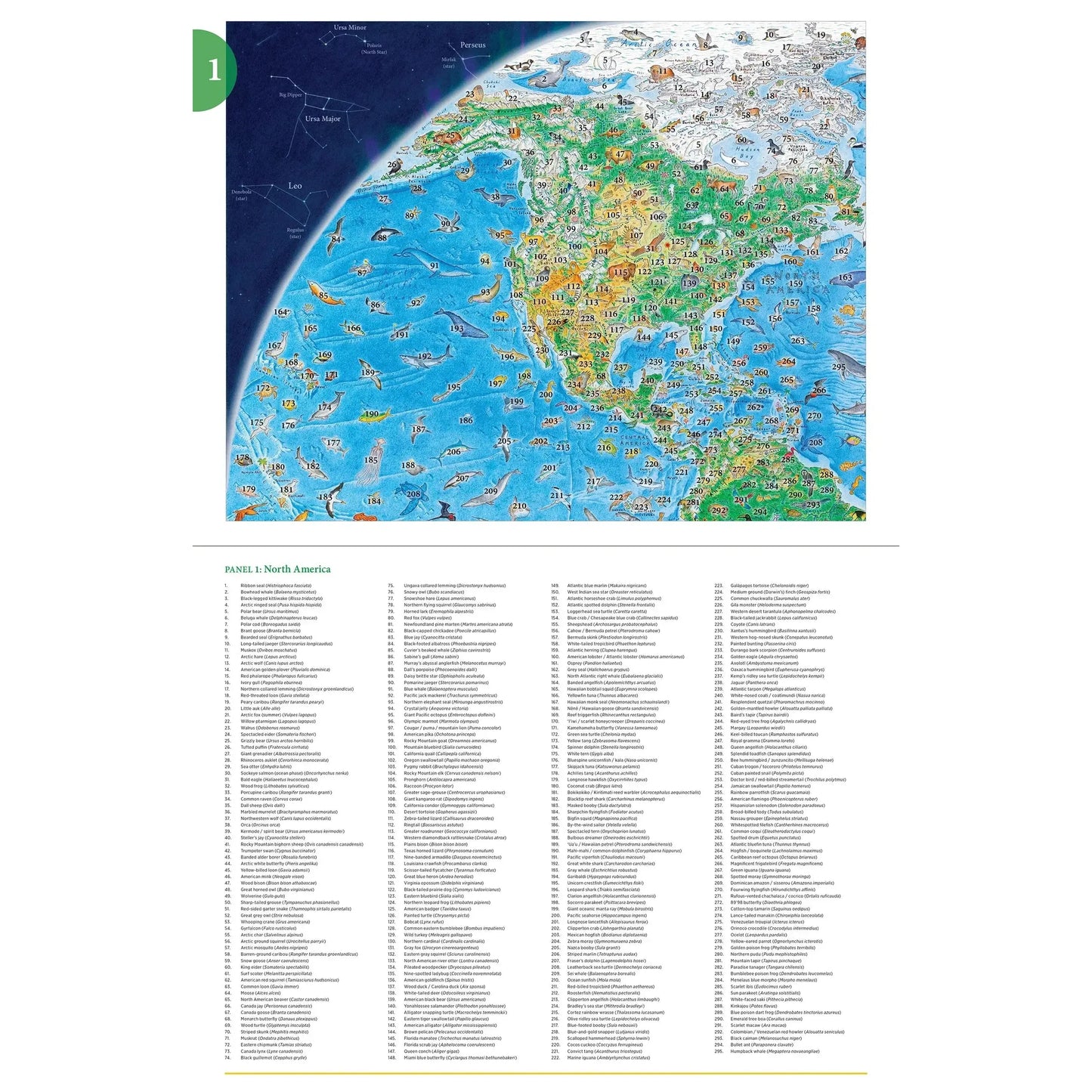 Wild World 1500 Piece Jigsaw Puzzle Pomegranate