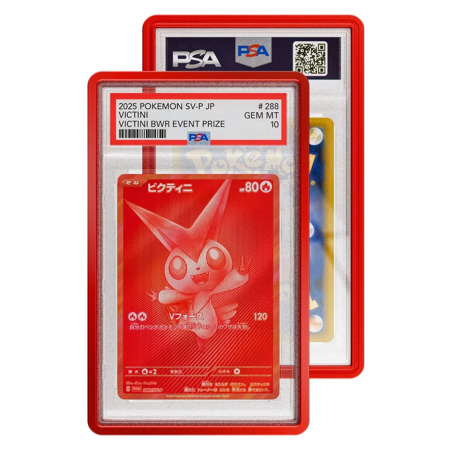(Limited Edition) GradedGuard - Crimson Standard Case (PSA) Spoils and Loot