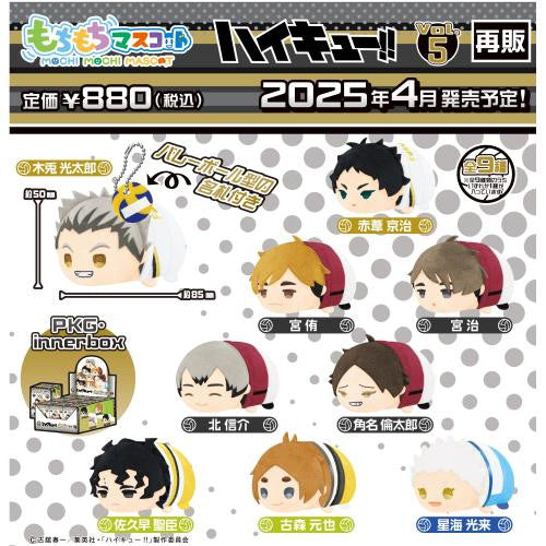 Haikyuu!! Mochi Mochi Mascot Vol.5 Blind Box – SK Japan Super Anime Store