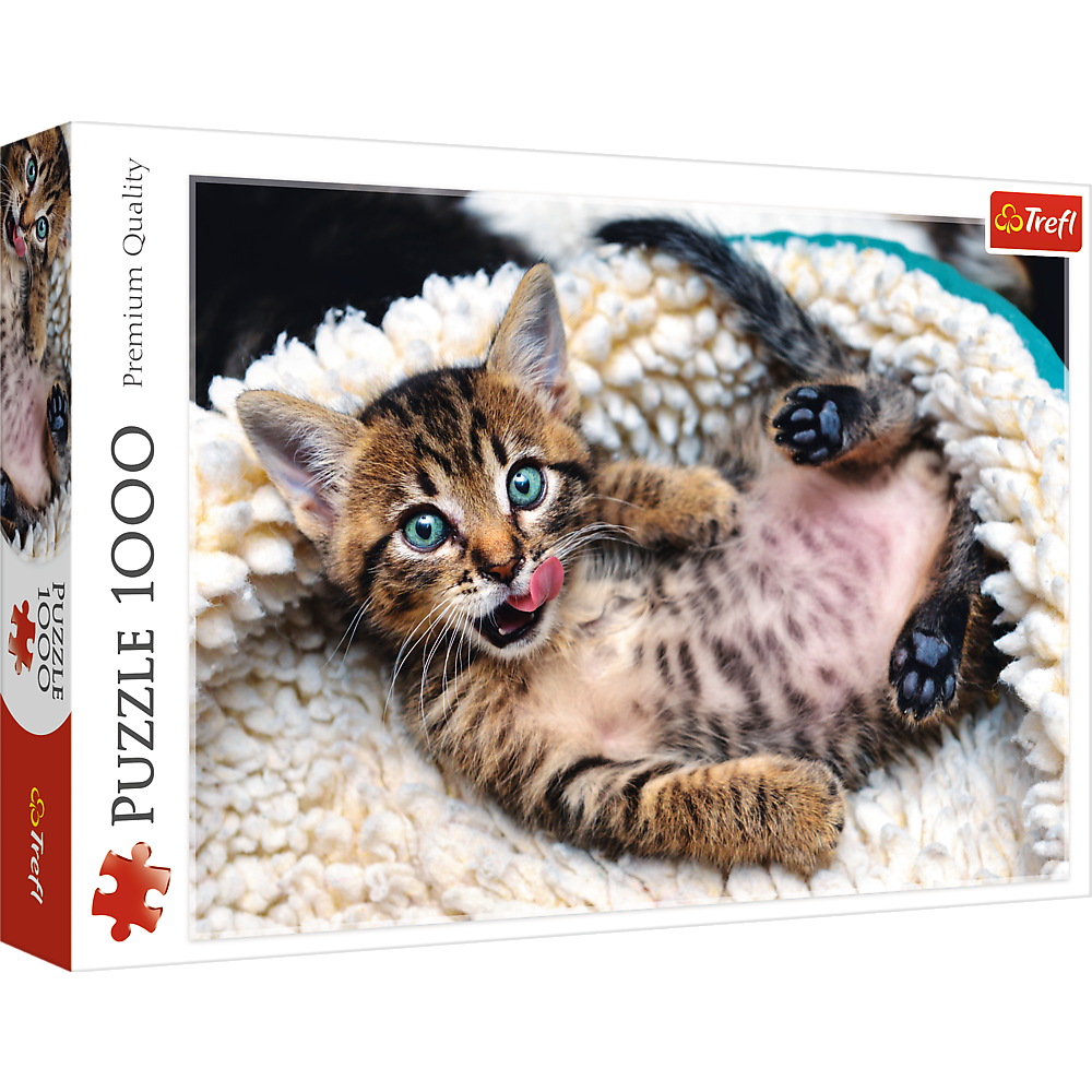 1000 Piece Jigsaw Puzzles, Cheerful Kitten, Puzzle of Animals, Cats, Kittens and Pets, Adult Puzzles, Trefl 10448 Bridge Toys - Premium Jigsaw Puzzles