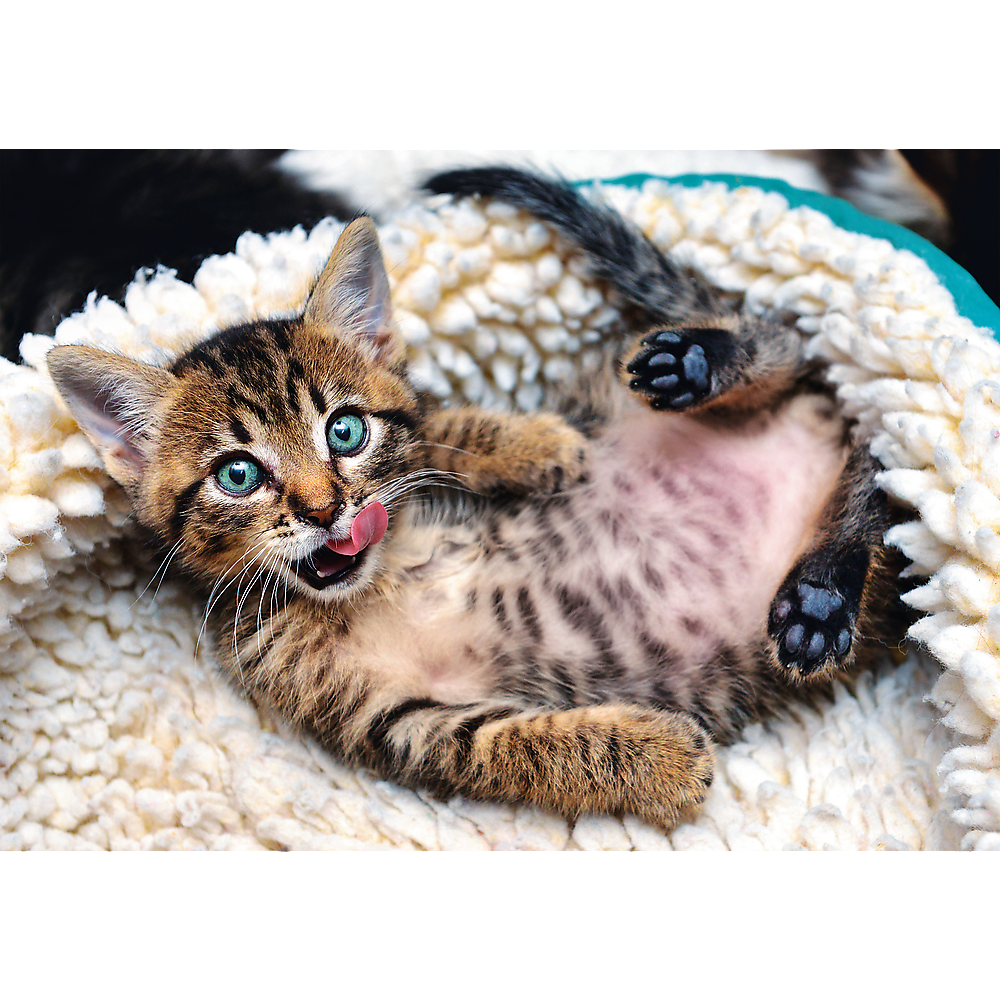 1000 Piece Jigsaw Puzzles, Cheerful Kitten, Puzzle of Animals, Cats, Kittens and Pets, Adult Puzzles, Trefl 10448 Bridge Toys - Premium Jigsaw Puzzles