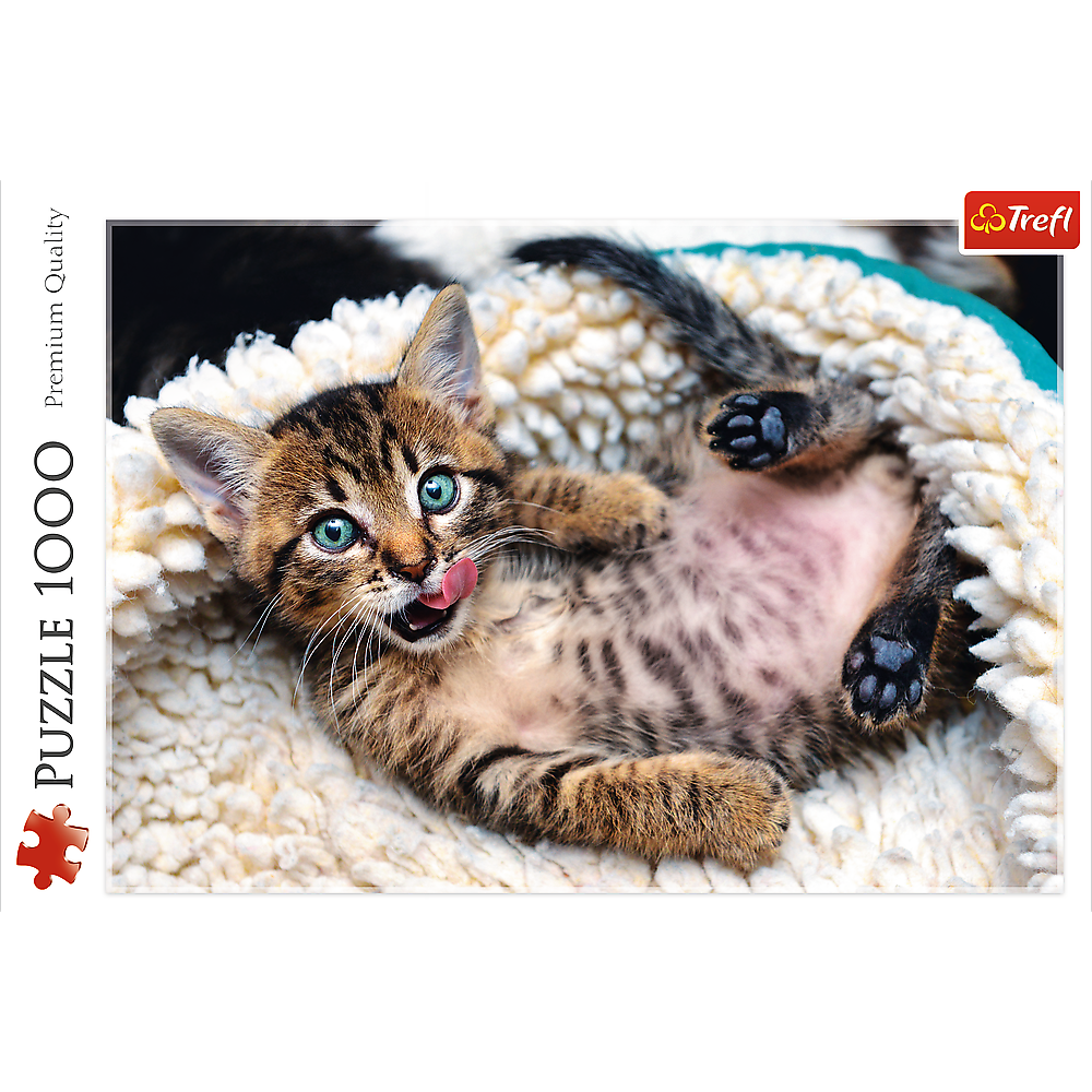 1000 Piece Jigsaw Puzzles, Cheerful Kitten, Puzzle of Animals, Cats, Kittens and Pets, Adult Puzzles, Trefl 10448 Bridge Toys - Premium Jigsaw Puzzles