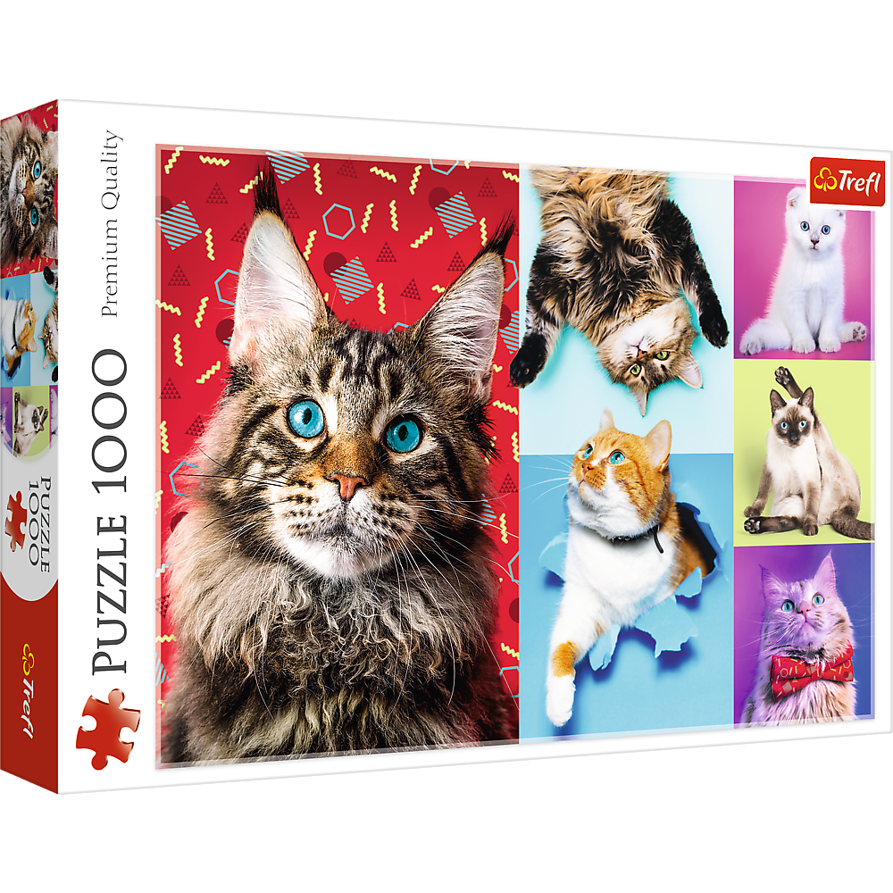 1000 Piece Jigsaw Puzzles, Happy Cats, Pets, Silly Animals, Cats and Kittens, Adult Puzzles, Trefl 10591 Bridge Toys - Premium Jigsaw Puzzles