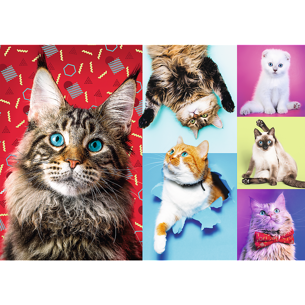1000 Piece Jigsaw Puzzles, Happy Cats, Pets, Silly Animals, Cats and Kittens, Adult Puzzles, Trefl 10591 Bridge Toys - Premium Jigsaw Puzzles
