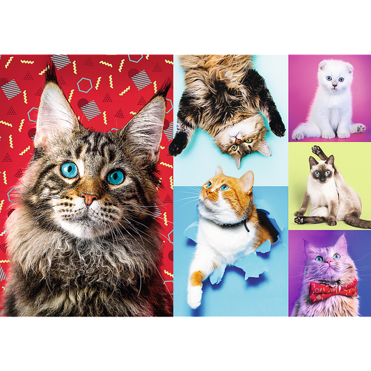 1000 Piece Jigsaw Puzzles, Happy Cats, Pets, Silly Animals, Cats and Kittens, Adult Puzzles, Trefl 10591 Bridge Toys - Premium Jigsaw Puzzles