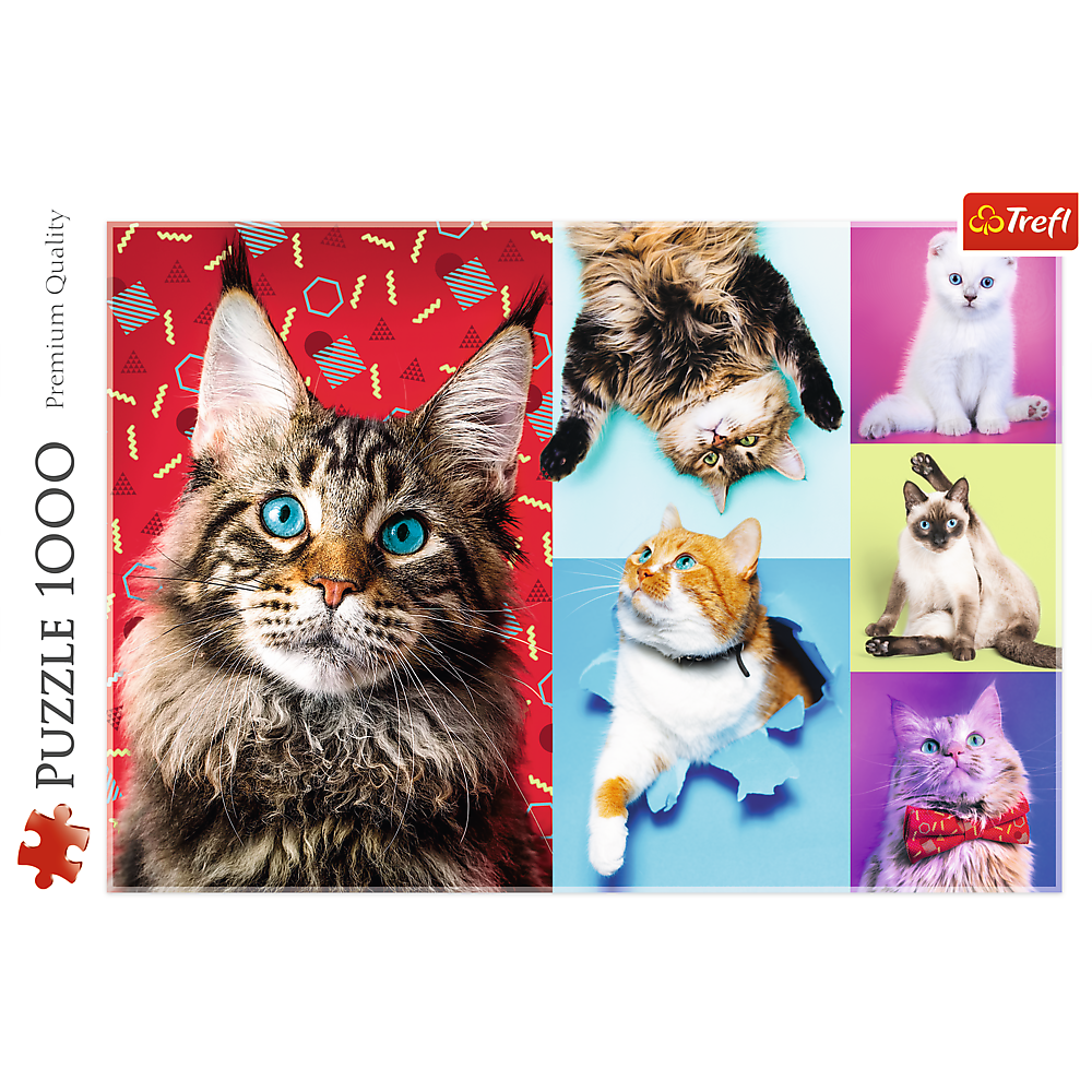 1000 Piece Jigsaw Puzzles, Happy Cats, Pets, Silly Animals, Cats and Kittens, Adult Puzzles, Trefl 10591 Bridge Toys - Premium Jigsaw Puzzles