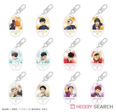 Haikyu!! Round Keyring Blind Box - Trading Character Keychain (1 Random) Super Anime Store