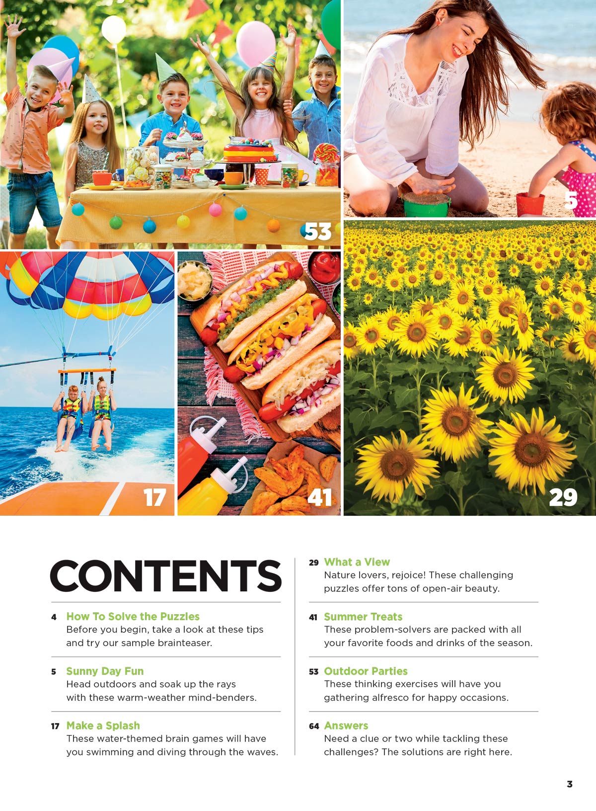Brain Fun - Picture Puzzles: Spot 300 Differences, Ultimate Brain Challenge, Summer Edition, Sunny Day Fun, Vacation Views, Summer Treats, Outdoor Party Scenes, Unwind, Unplug, Relax, Solve & More! Magazine Shop US