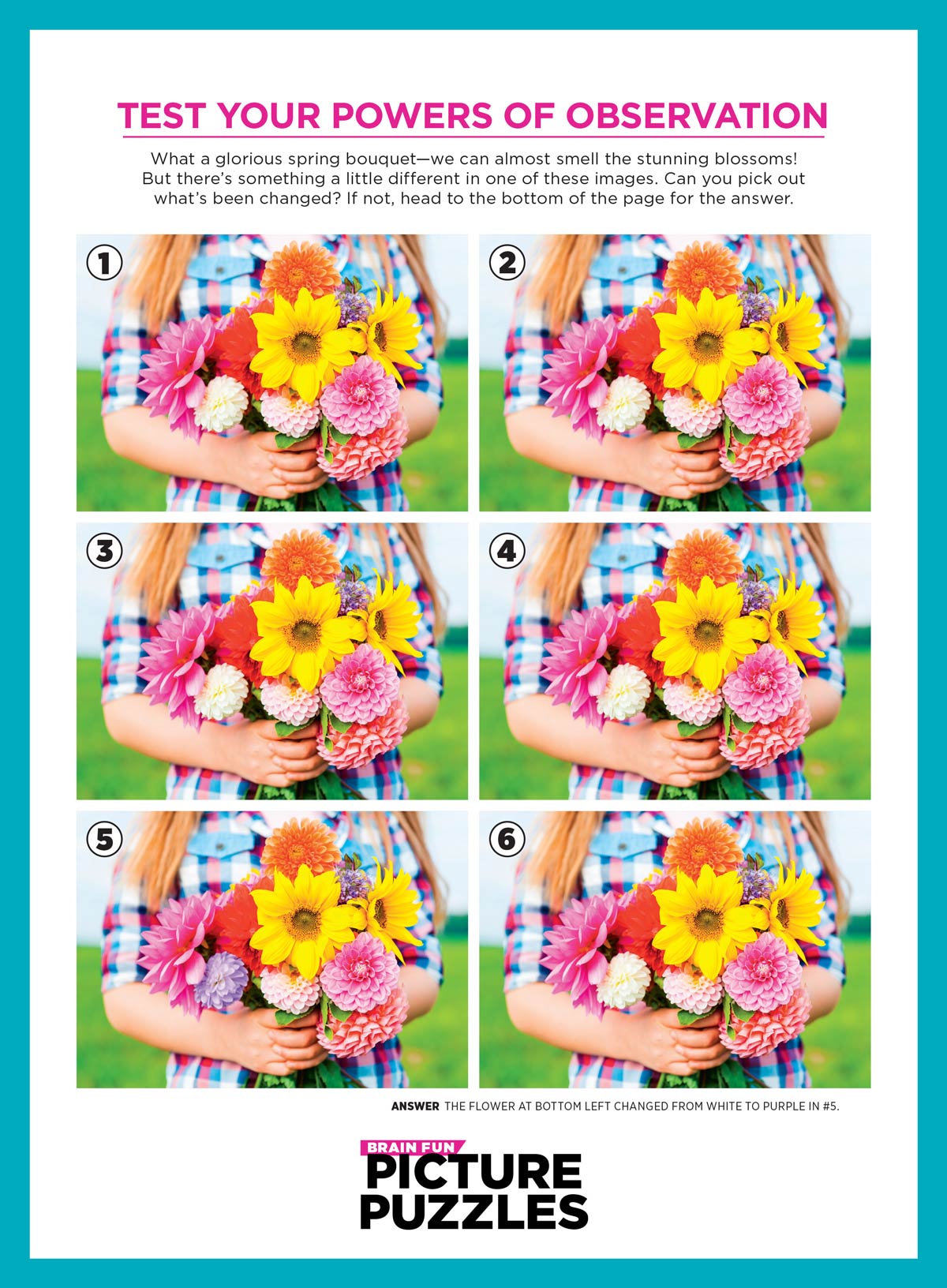 Brain Fun - Picture Puzzles: Spot 300 Differences, Ultimate Brain Challenge, Summer Edition, Sunny Day Fun, Vacation Views, Summer Treats, Outdoor Party Scenes, Unwind, Unplug, Relax, Solve & More! Magazine Shop US