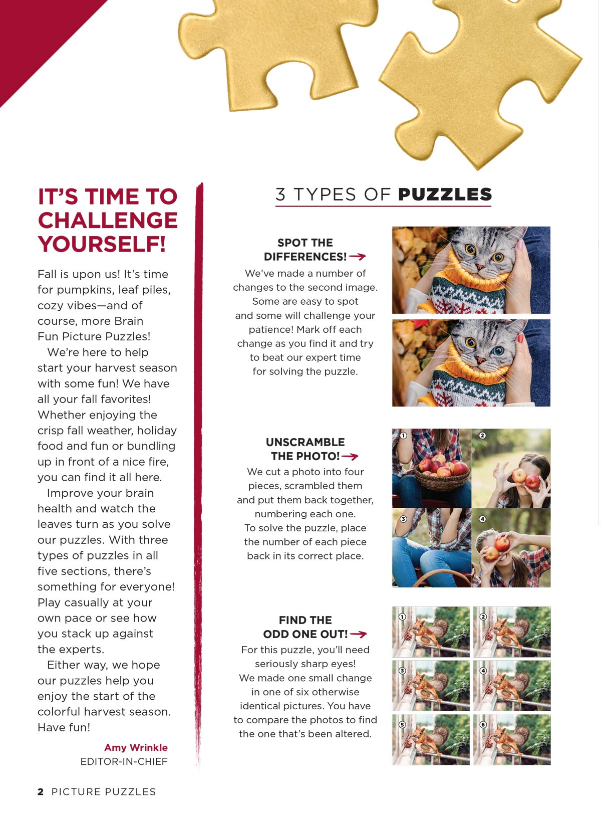 Brain Fun - Picture Puzzles: Spot 266 Differences, 5 Themed Sections, Home & Garden, Fall Fun, Harvest Holidays, Autumn Animals, Sweater Weather, Strengthen Memory, Improve Focus, Relax & More! Magazine Shop US