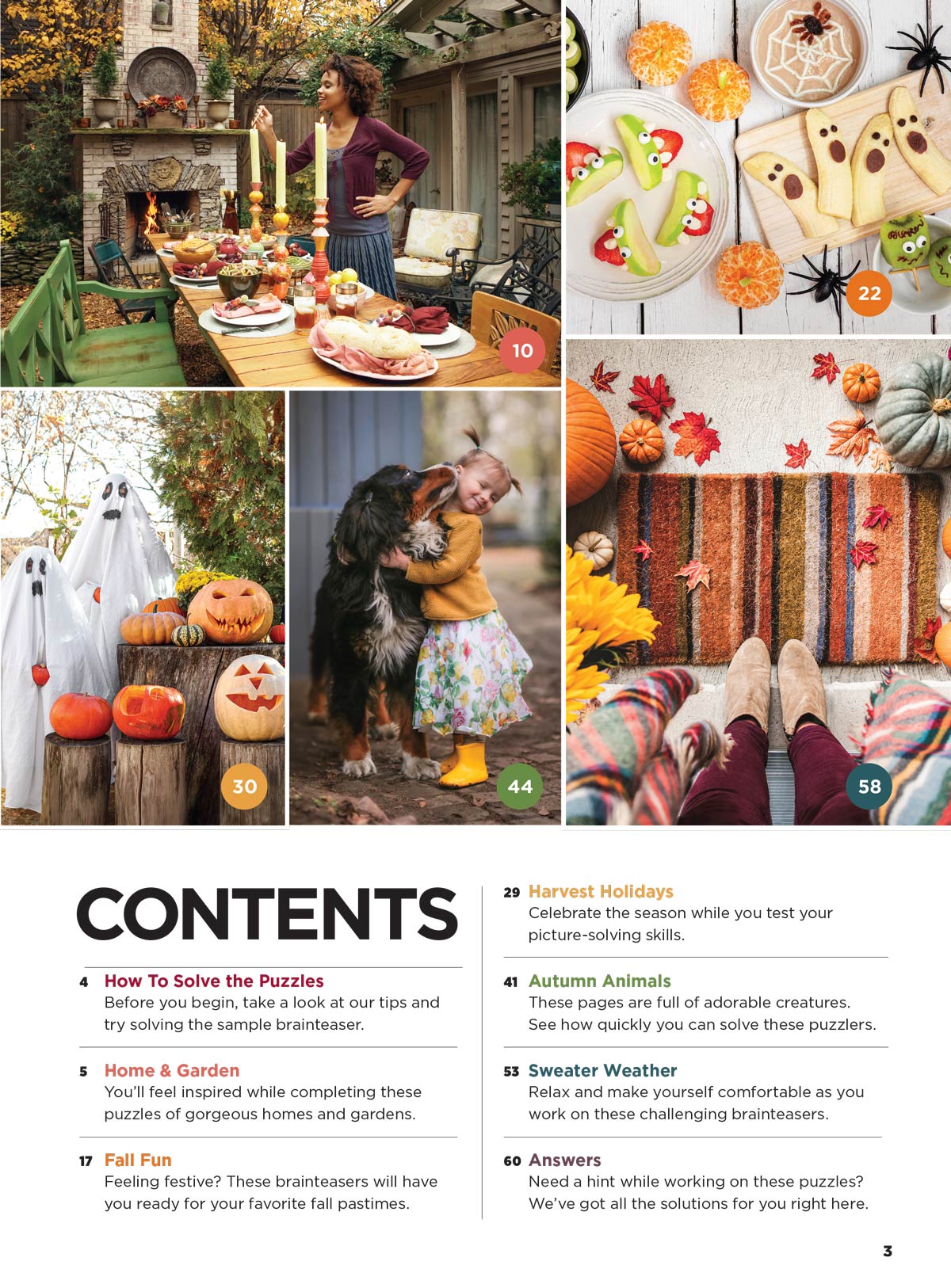 Brain Fun - Picture Puzzles: Spot 266 Differences, 5 Themed Sections, Home & Garden, Fall Fun, Harvest Holidays, Autumn Animals, Sweater Weather, Strengthen Memory, Improve Focus, Relax & More! Magazine Shop US