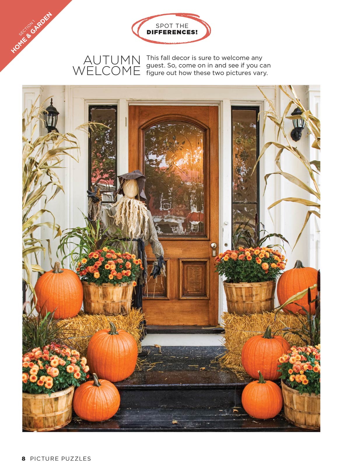 Brain Fun - Picture Puzzles: Spot 266 Differences, 5 Themed Sections, Home & Garden, Fall Fun, Harvest Holidays, Autumn Animals, Sweater Weather, Strengthen Memory, Improve Focus, Relax & More! Magazine Shop US
