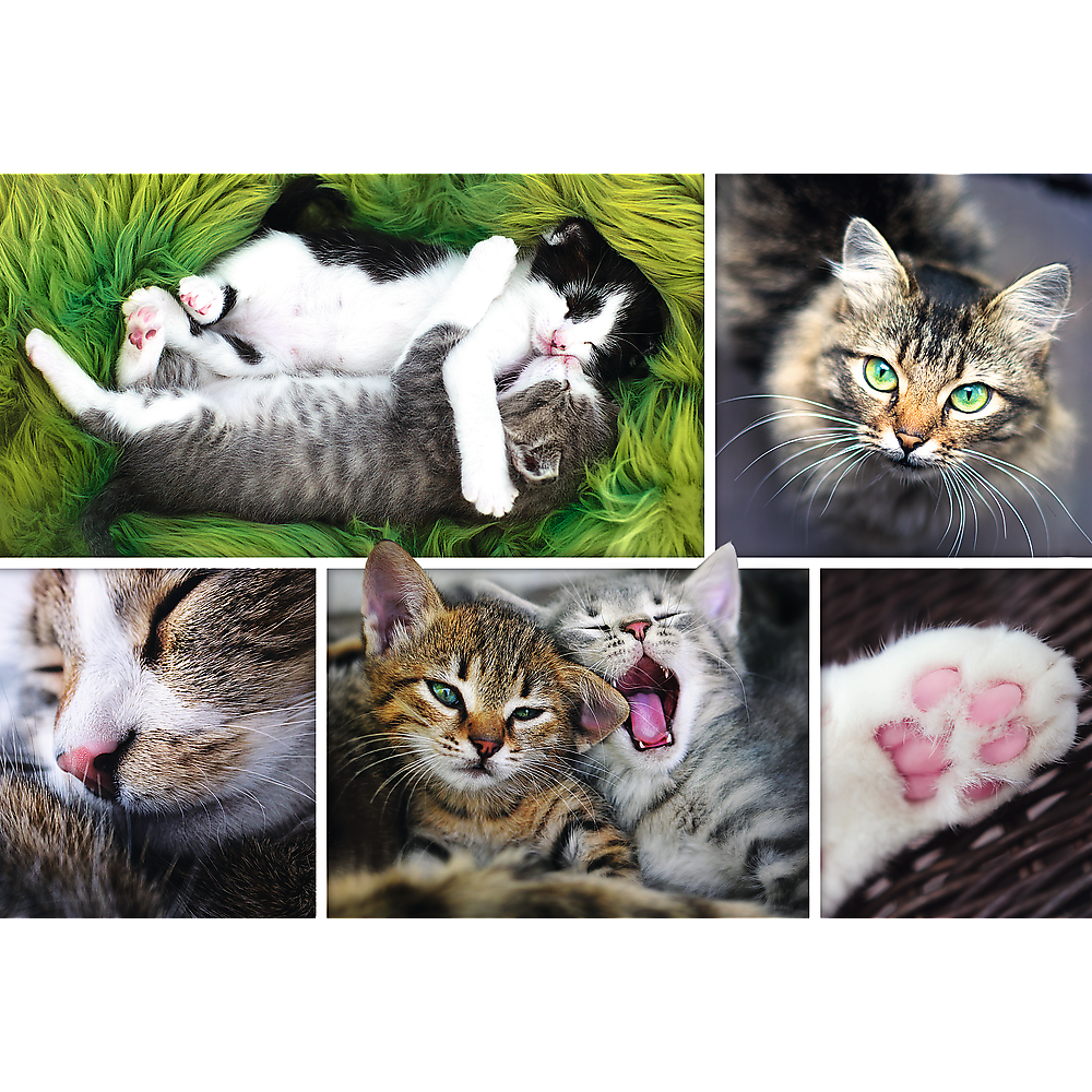 1500 Piece Jigsaw Puzzle, Just Cat Things Collage, Pets, Cats and Kittens, Animal Collage, Adult Puzzles, Trefl 26145 Bridge Toys - Premium Jigsaw Puzzles