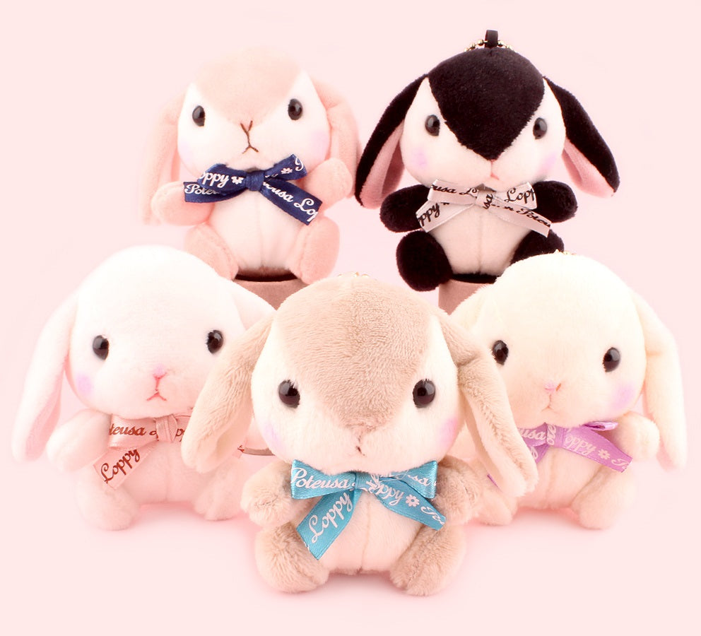 Amuse Poteusa Loppy Teddy Color Plush Doll Super Anime Store