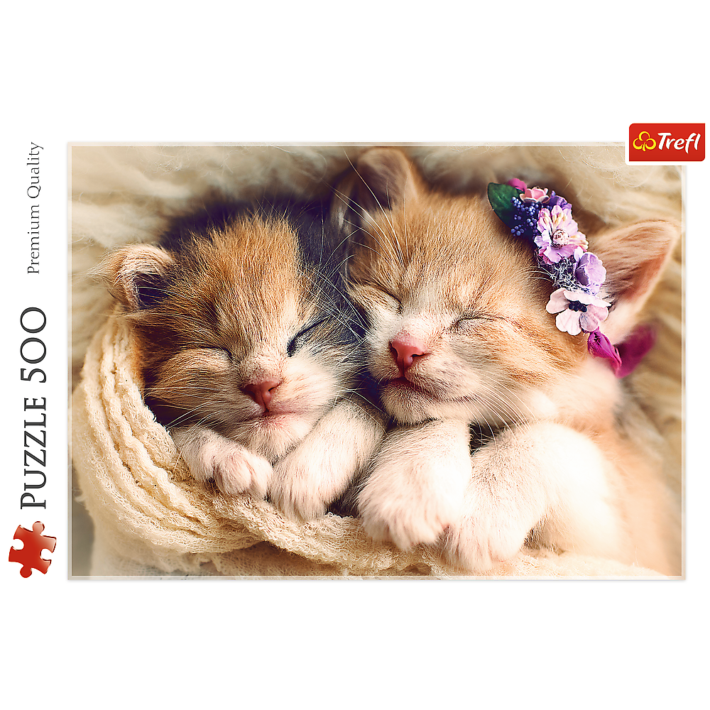 500 Piece Jigsaw Puzzles, Sleeping Kittens, Baby Animals, Pets, Cats, Adult Puzzles, Trefl 37271 Bridge Toys - Premium Jigsaw Puzzles