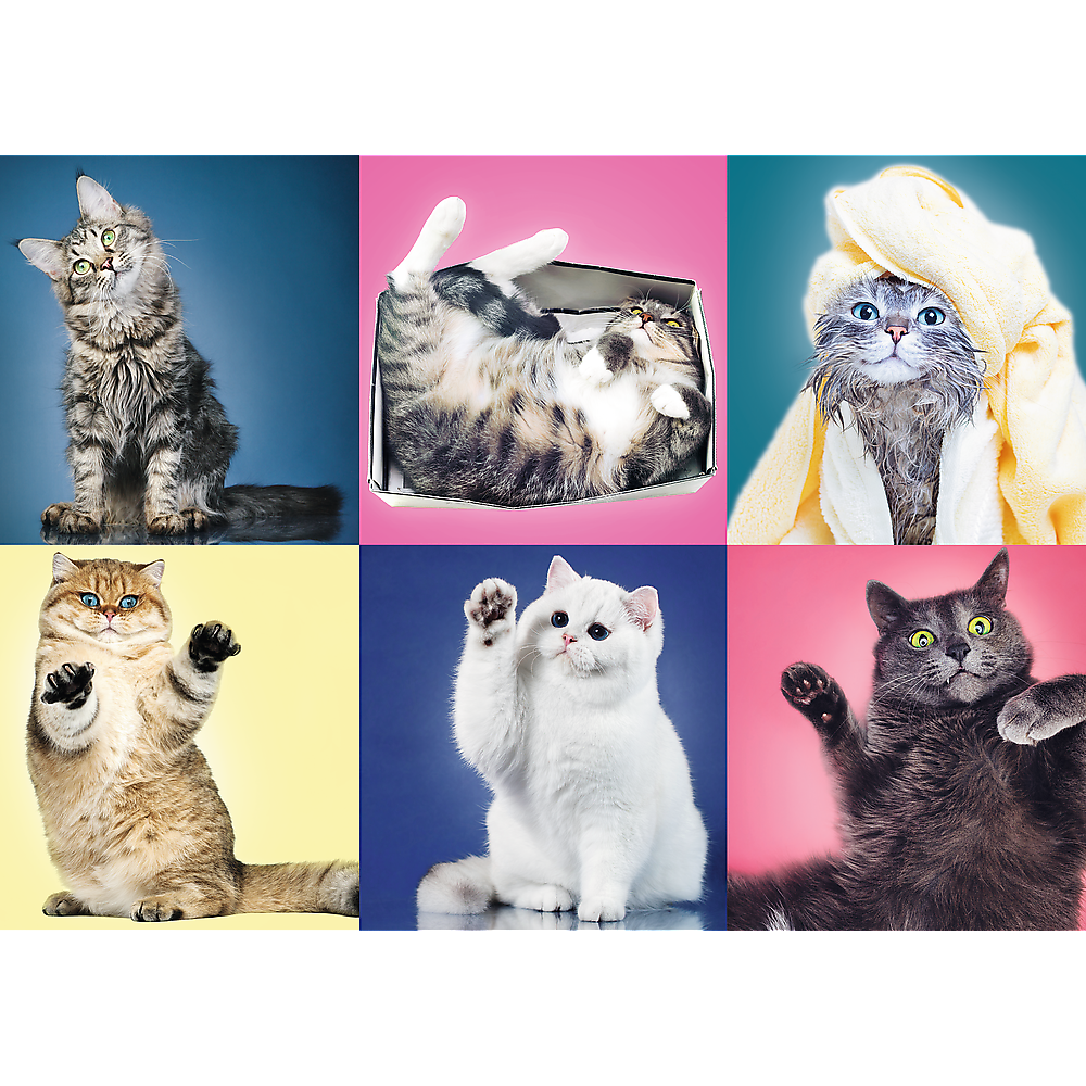 500 Piece Jigsaw Puzzle, Kittens, Silly Pets, Cat Collage, Adult Puzzles, Trefl 37377 Bridge Toys - Premium Jigsaw Puzzles