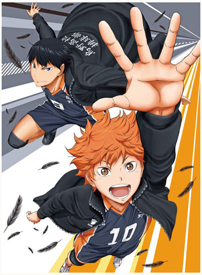 Haikyuu! Wallscroll Super Anime Store
