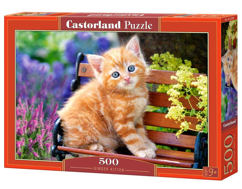 500 Piece Jigsaw Puzzle, Ginger Kitten, Animal puzzle, Cat puzzle, Kittie puzzle, Cute cat, Adult Puzzles, Castorland B-52240 Bridge Toys - Premium Jigsaw Puzzles