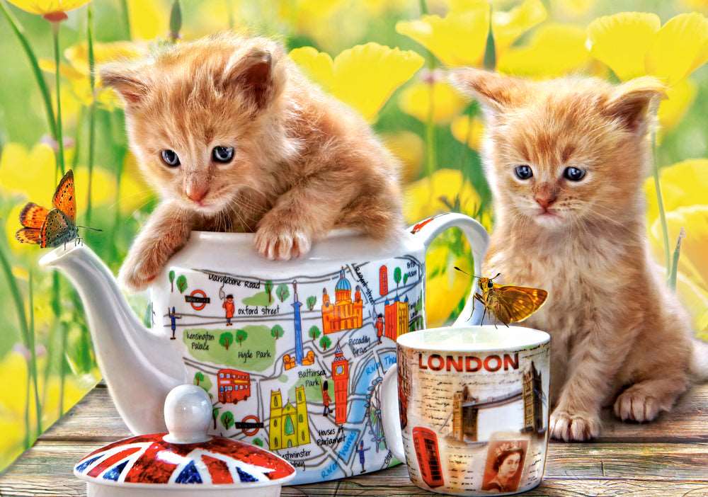 500 Piece Jigsaw Puzzle, Tea Time, Animal puzzle, Cat puzzle, Kittie puzzle, Cute cat, Adult Puzzles, Castorland B-52356 Bridge Toys - Premium Jigsaw Puzzles