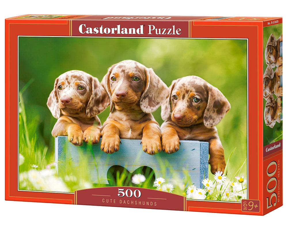 500 Piece Jigsaw Puzzle, Cute Dachshunds, Animal puzzle, Dogs, Puppies, Adult Puzzle, Castorland B-53605 Bridge Toys - Premium Jigsaw Puzzles
