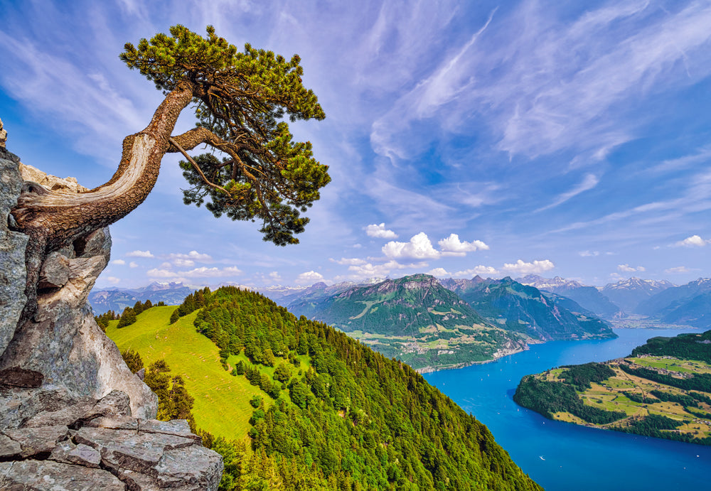 1000 Piece Jigsaw Puzzle, View of the Lake of Uri, Switzerland, Landscape puzzle, Mountain view, Adult Puzzle, Castorland C-105311-2 Bridge Toys - Premium Jigsaw Puzzles