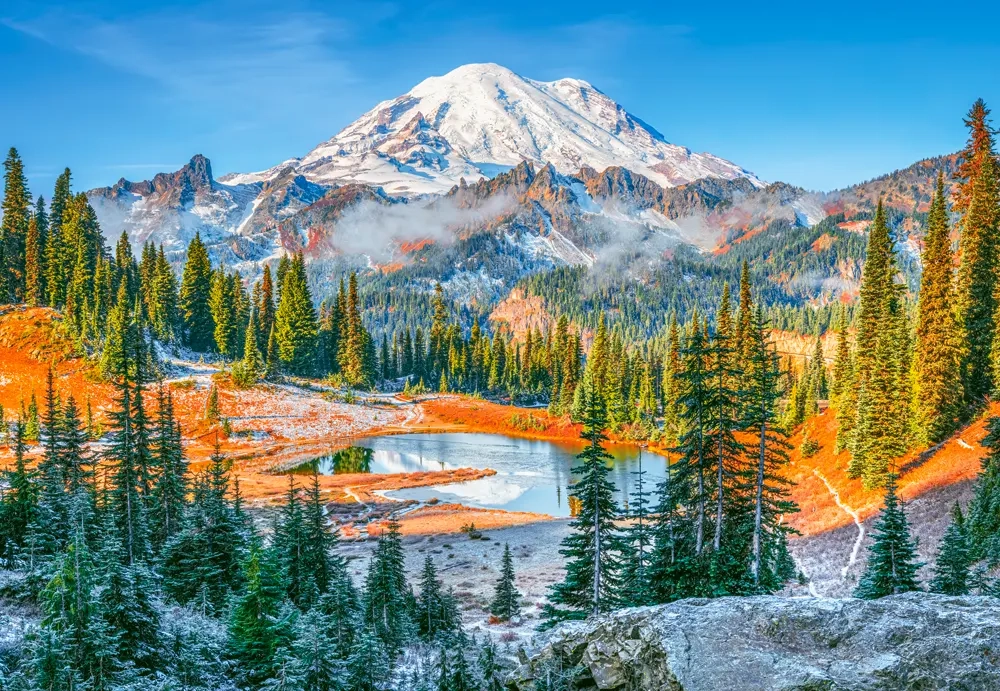 1000 Piece Jigsaw Puzzle, Mount Rainier National Park, USA, Snow-capped mountain puzzle, Calming landscape, Adult Puzzle, Castorland C-105496-2 Bridge Toys - Premium Jigsaw Puzzles