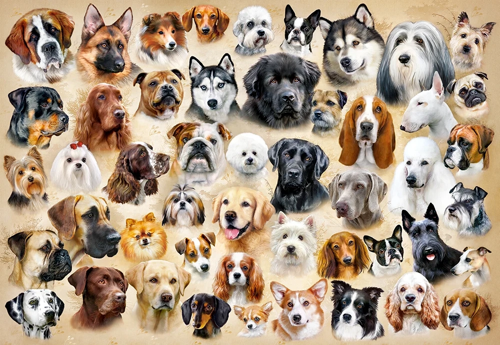 1500 Piece Jigsaw Puzzle, Collage with Dogs, Challenging Multi-Pet Portrait Gallery, puppy collage jigsaw, Adult Puzzle, Castorland C-151943-2 Bridge Toys - Premium Jigsaw Puzzles