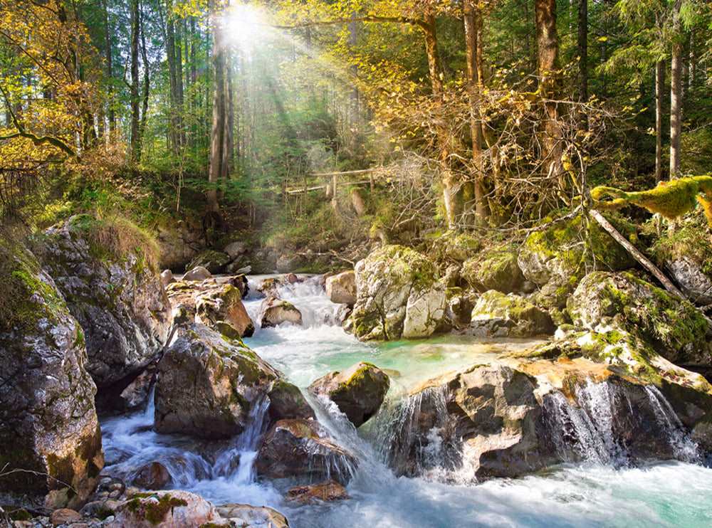 2000 Piece Jigsaw Puzzle, The forest stream, Mountain stream, Nature, Adult Puzzles, Castorland C-200382-2 Bridge Toys - Premium Jigsaw Puzzles