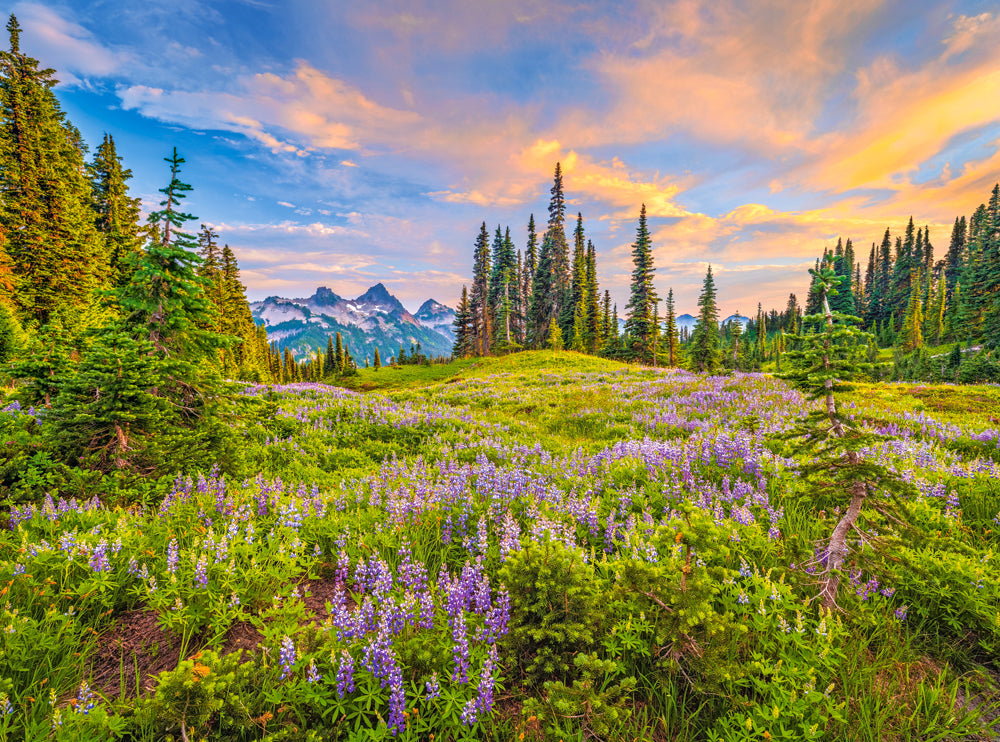 2000 Piece Jigsaw Puzzle, Blossoms of Morning, Landscape puzzles, Meadow, Mountain view, Adult Puzzle, Castorland C-200863-2 Bridge Toys - Premium Jigsaw Puzzles