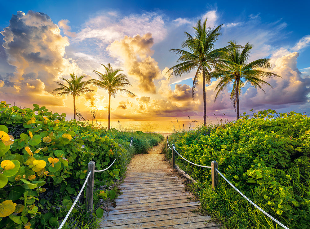 3000 Piece Jigsaw Puzzles, Colorful Sunrise in Miami, USA, Adult Puzzles, Castorland C-300617-2 Bridge Toys - Premium Jigsaw Puzzles