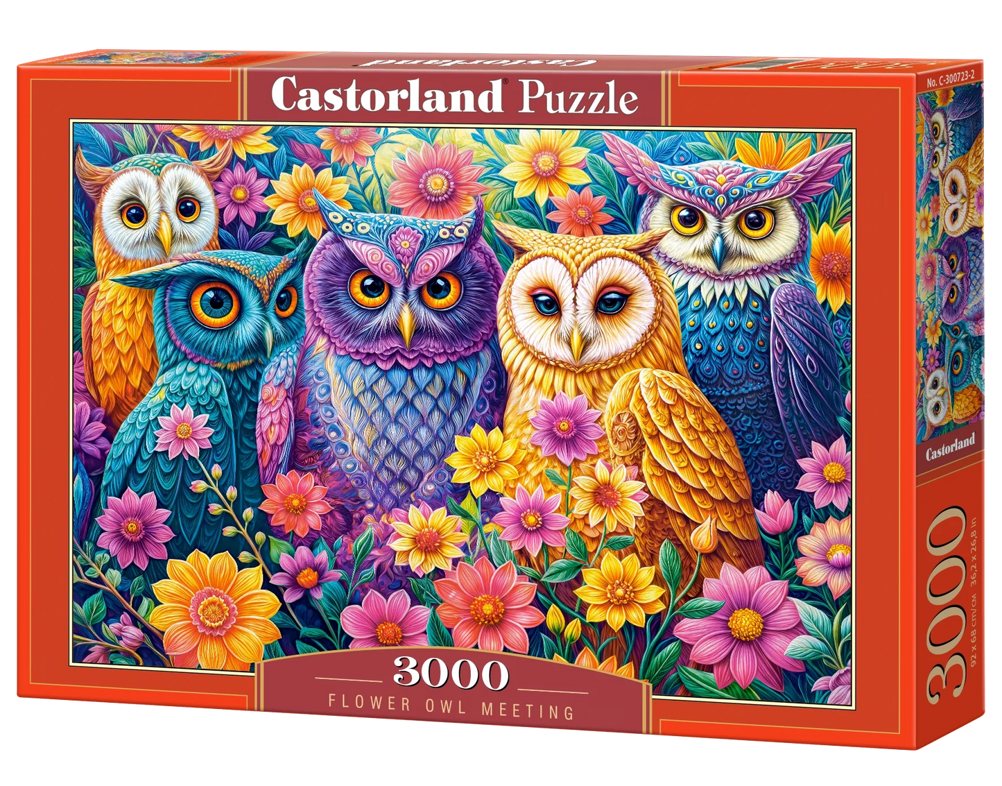 3000 Piece Jigsaw Puzzle, Flower Owl Meeting, Vibrant Colorful Owl Garden, Whimsical Folk Art Bird Scene, Adult Puzzle, Castorland C-300723-2 Bridge Toys - Premium Jigsaw Puzzles