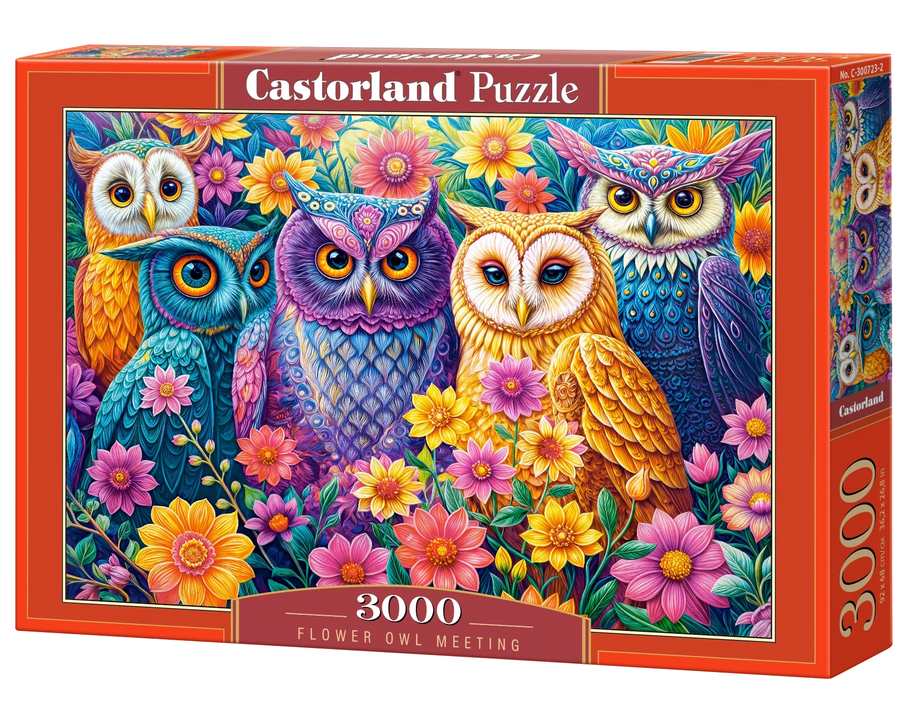 3000 Piece Jigsaw Puzzle, Flower Owl Meeting, Vibrant Colorful Owl Garden, Whimsical Folk Art Bird Scene, Adult Puzzle, Castorland C-300723-2 Bridge Toys - Premium Jigsaw Puzzles