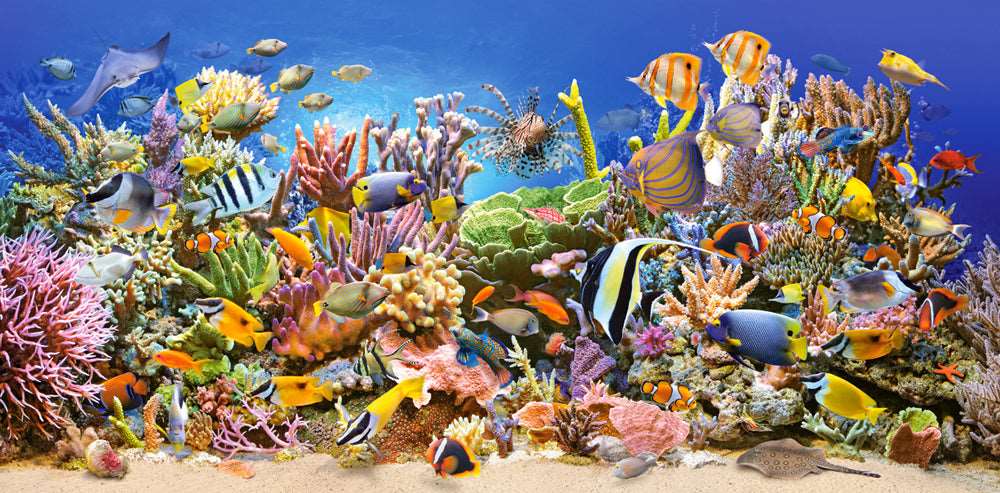 4000 Piece Jigsaw Puzzle, Underwater life, Sealife, Ocean, Adult Puzzles, Castorland C-400089-2 Bridge Toys - Premium Jigsaw Puzzles