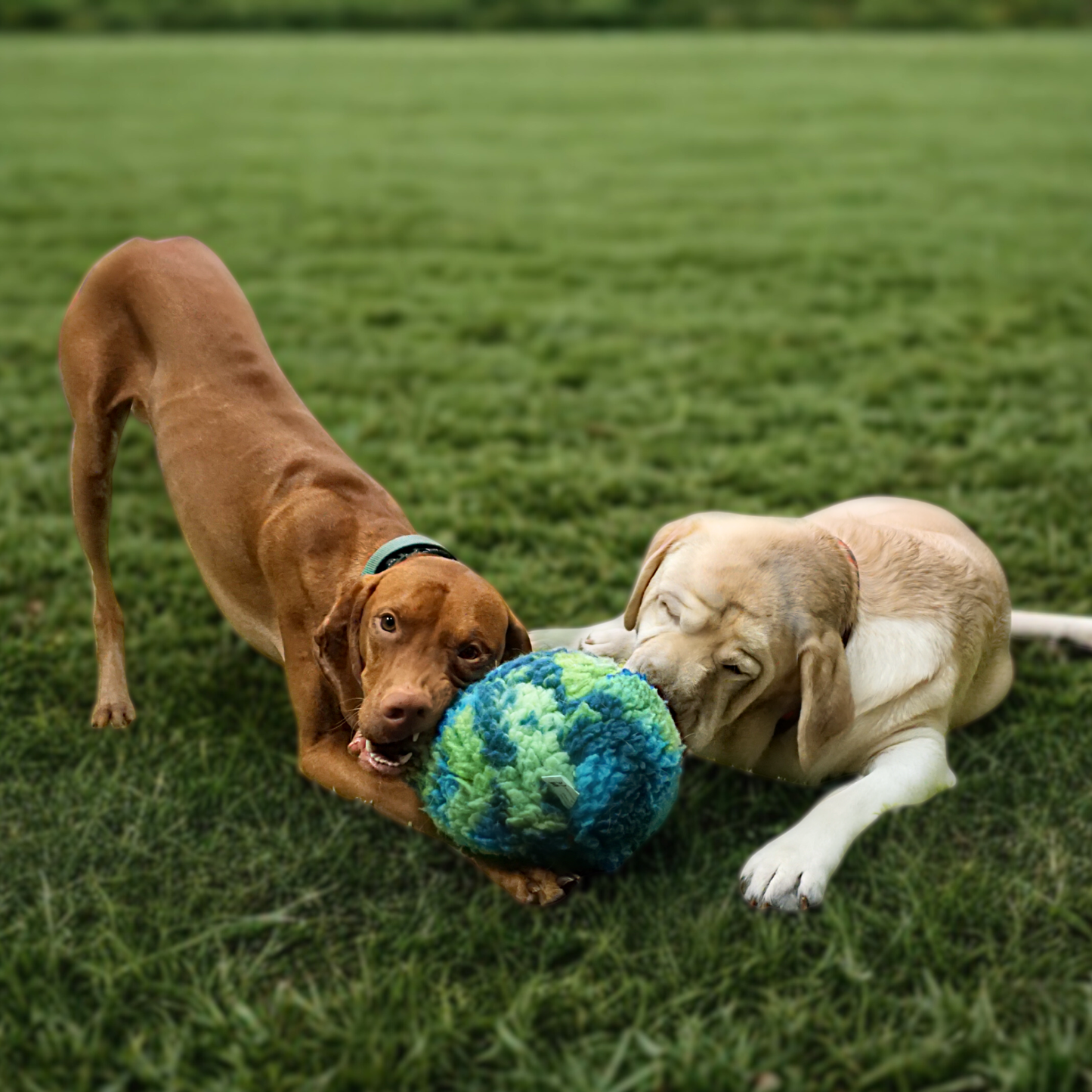 HuggleSnuffles™ SnuffleSphere™ Puzzle Ball HuggleHounds