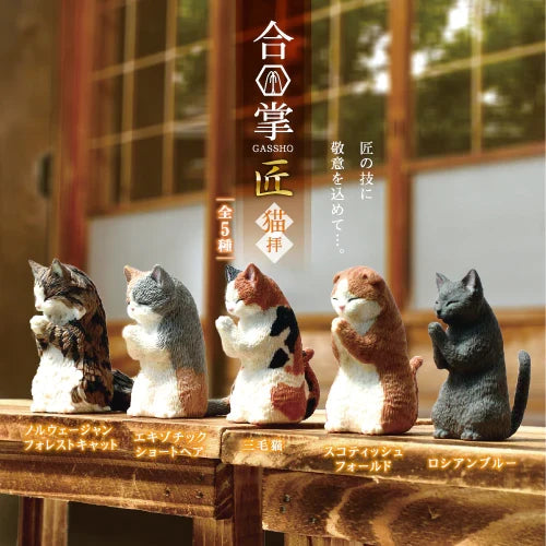WISHING CATS BLIND BOX (1 Blind Box) Super Anime Store