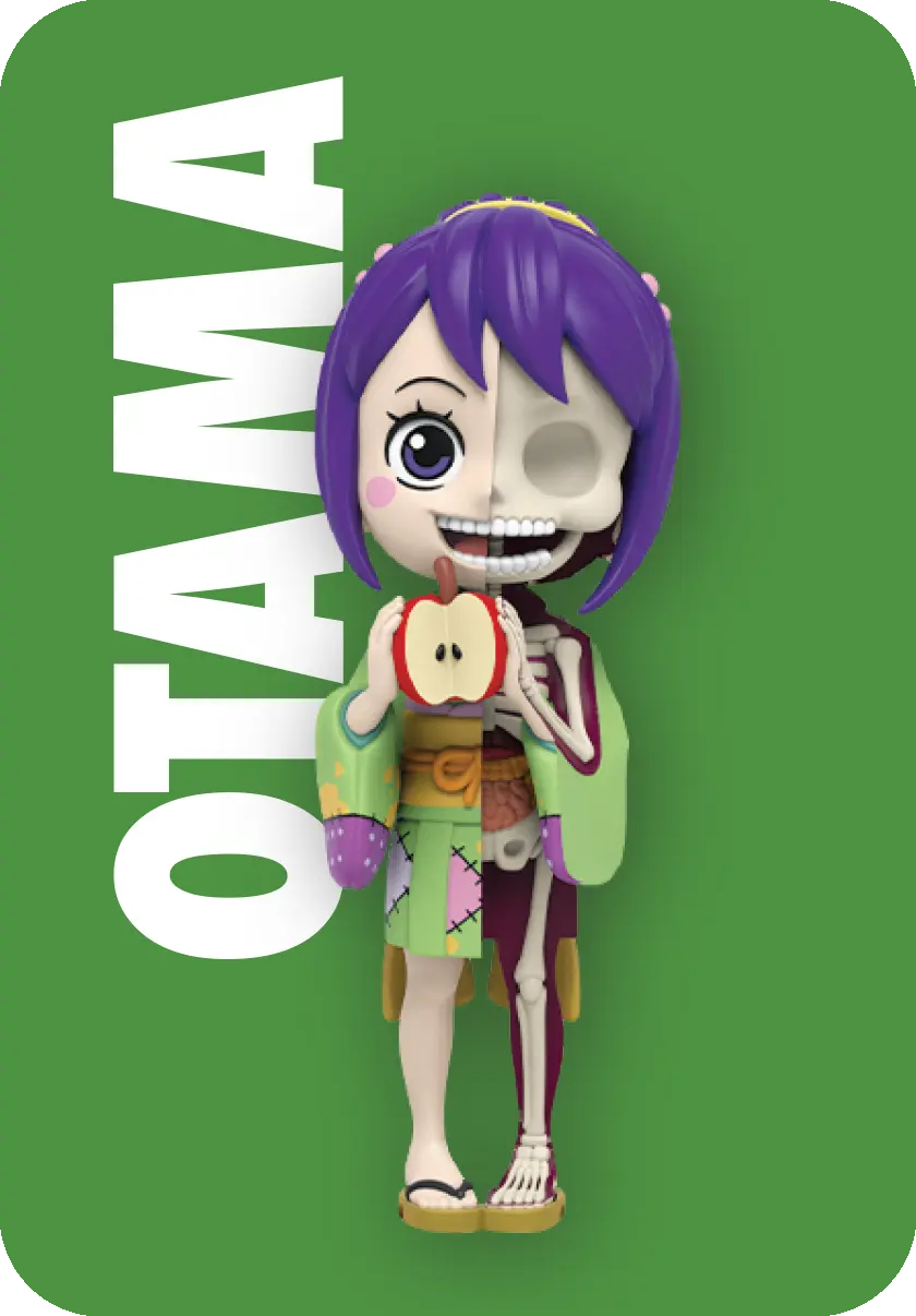 Freeny’s Hidden Dissectibles: One Piece (Ladies Edition) Blind Box (1 Blind Box) Super Anime Store