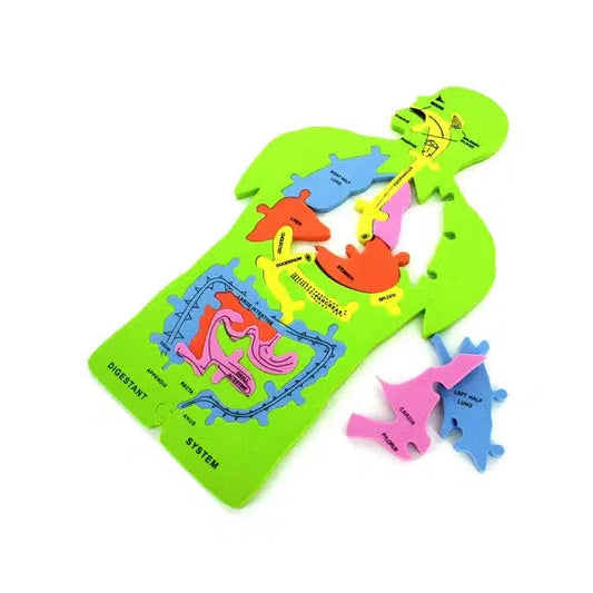 Anatomy 11 Piece Foam Puzzle Puzzle Merchant