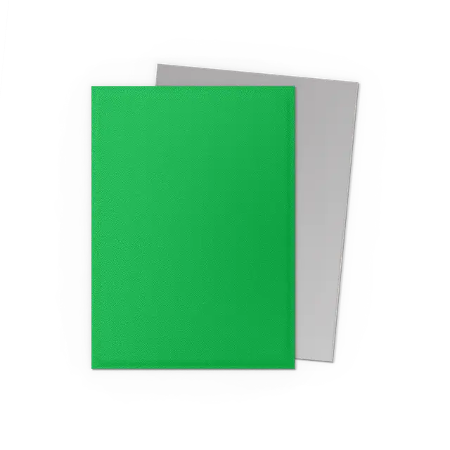 Dragon Shield: Apple Green & Silver Dual Matte Sleeves (100) Moliner Games