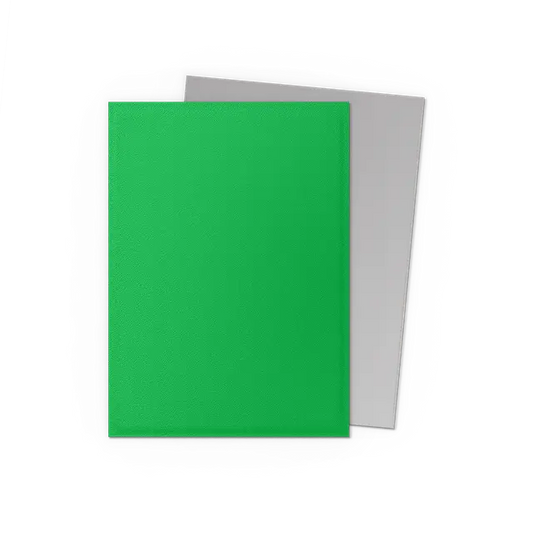 Dragon Shield: Apple Green & Silver Dual Matte Sleeves (100) Moliner Games