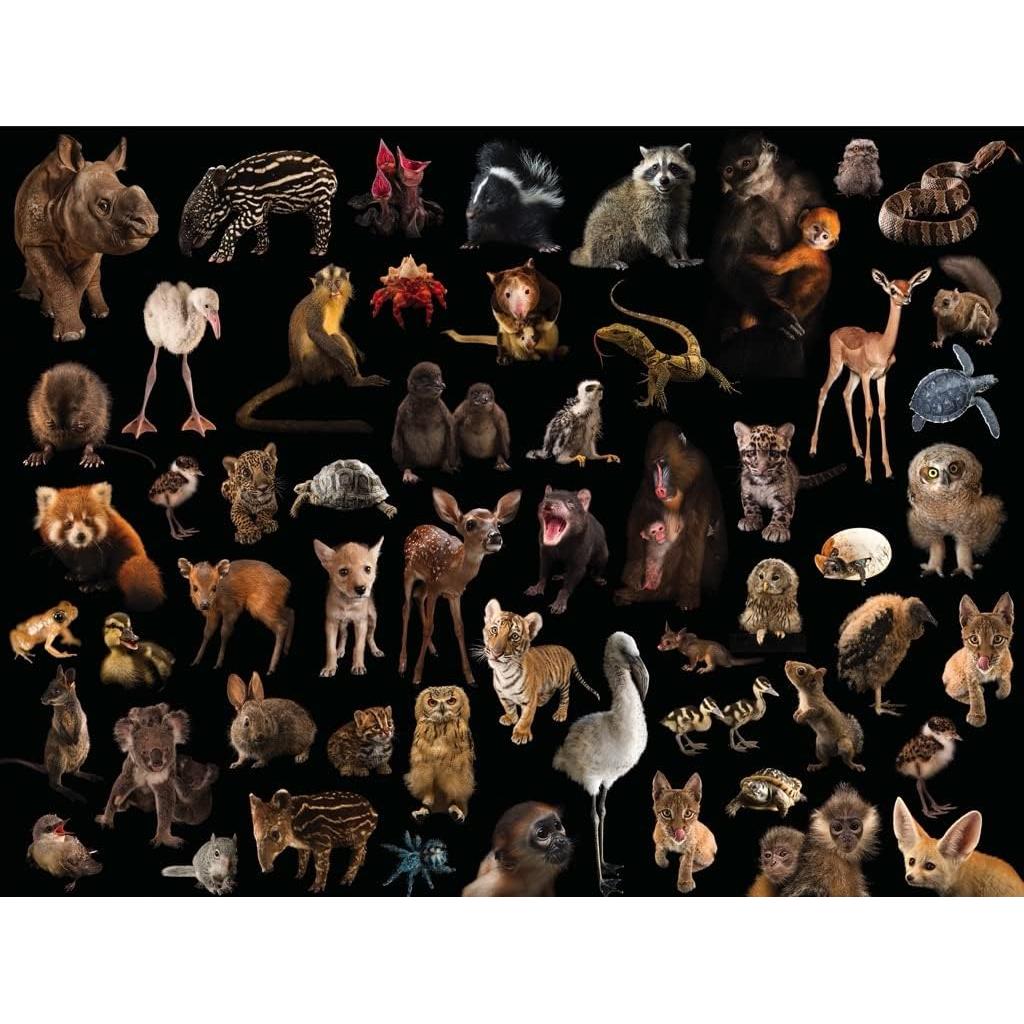 Baby Animals National Geographic Photo Ark 500 Piece Jigsaw Puzzle NYPC