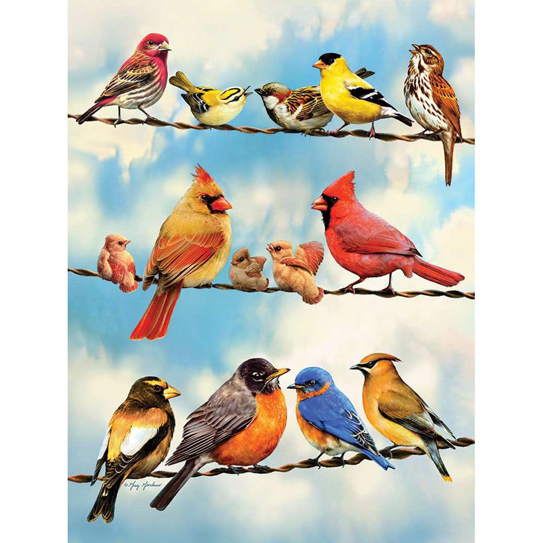 Birds on a Wire 500 Piece Jigsaw Puzzle Cobble Hill