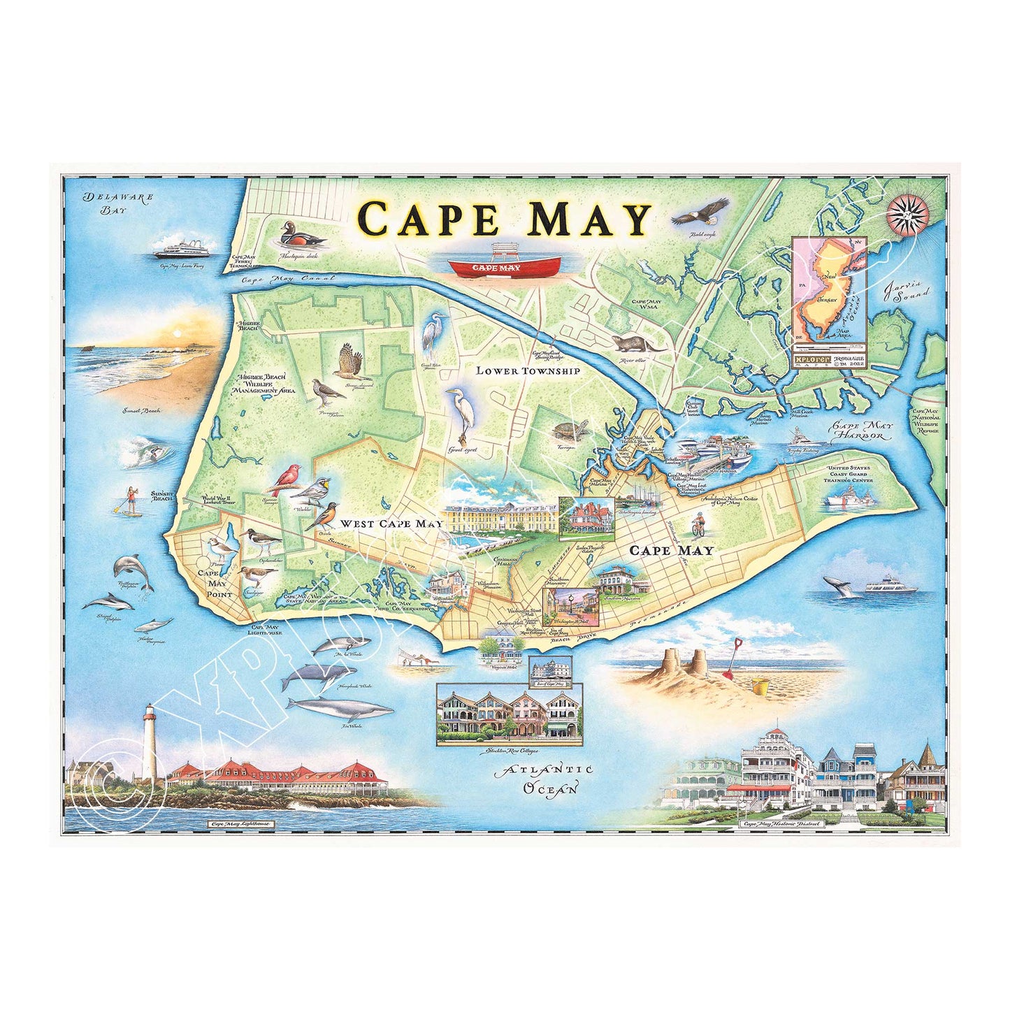 Cape May 1000 Piece Jigsaw Puzzle Xplorer Maps